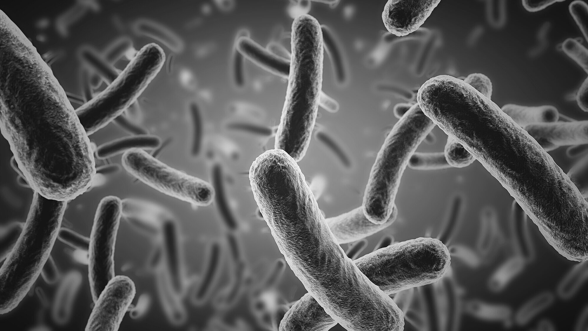 Bacteria adhere less to BIOLOX® ceramic surfaces